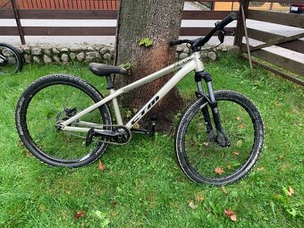Ctm Dirt King expert 2019 - 2