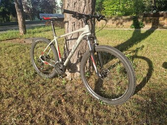 CTM Rambler 1.0, 29 palcov - 2