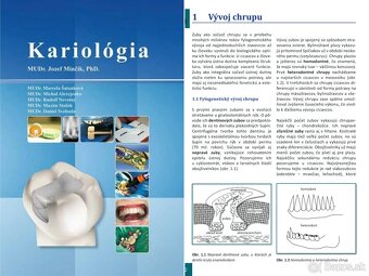 Zubné lekárstvo - knihy v PDF - 2