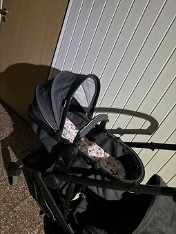 Súrodenecký dvojkočík Hauck - 2