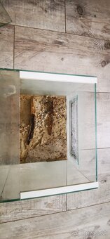 Terária s 3d stenou a dekorácie - 2