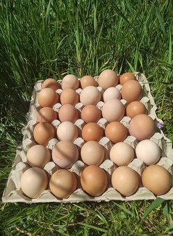Domáce vajíčka - 2