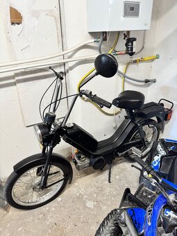Predam Babettu 210 V Top Stave - 2