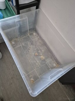 Ikea samla boxy - 2