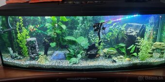Akvárium 450 lit. - 2