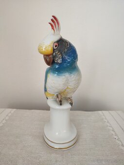 Ens Volkstedt veľký papagáj porcelánová soška 33 cm

 - 2