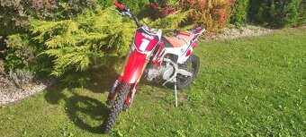 Pitbike WPB Race 140 - 2