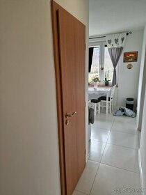 Znížená cena - Interiérové dvere - plná drevotrieska - 2