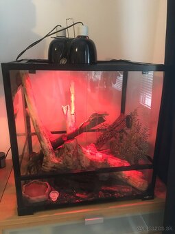 Predam terrarium kompletne - 2