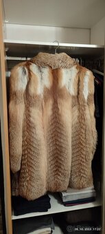 Kožuch z líšky alebo šakala - 2