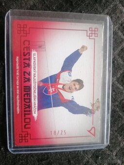 Juraj Slavkovský - 2