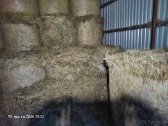 Predám psenicnu slamu - 2