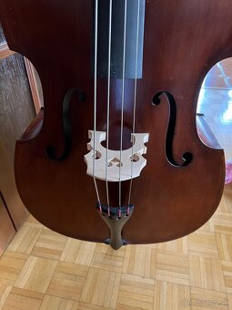 Kontrabas 1/2 polomasív - 2