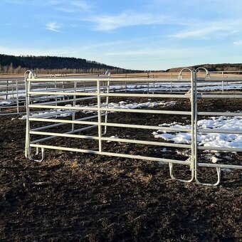 Texas Panely 300/170 cm - 2