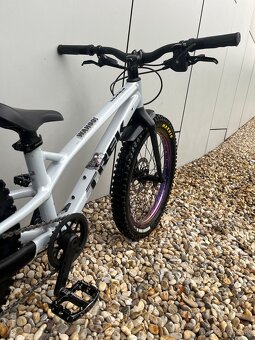 Detský bicykel TREK Wahoo 20 Trail Plasma Grey Pearl 2025 - 2