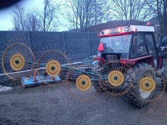 Slniečková hrabačka - 2