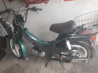 Manet korado - 2