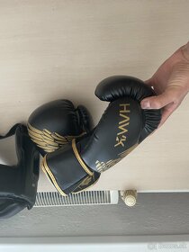 Boxerské rukavice 12oz - 2