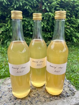 Domáci bazový sirup - 2