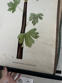 Retro plagát - učebná pomôcka - 2