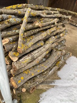 Predám čerstvé orechové drevo - 2