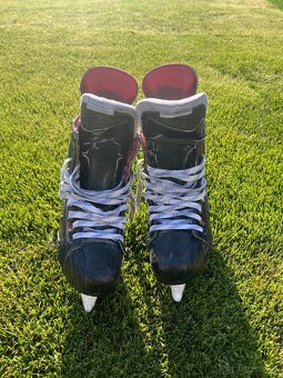 Predam hokejove korcule Bauer X900, vel. EUR 43 - 2