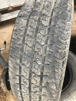 Matador maxilla2 - 2