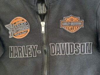 Harley Davidson - 2