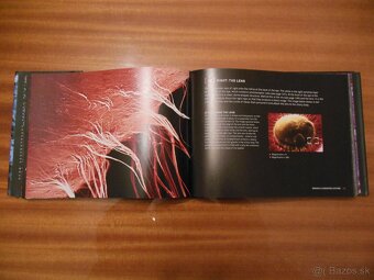 The Human Body Close-up - 2