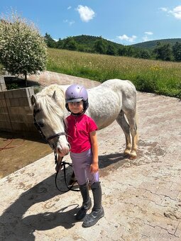 Predam sikovneho S pony - 2