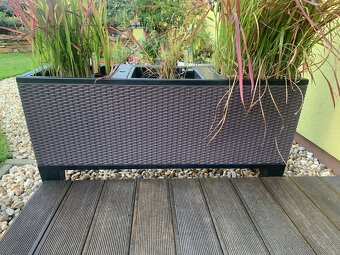 truhlík Lechuza trio cottage - 2