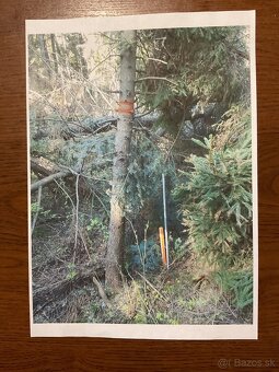 Poľnohospodár a lesné pozemky - 2