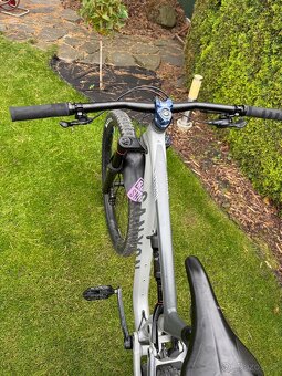 Canyon neuron 5 AL M - 2