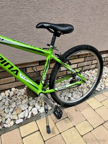 Bicykel ALPINA Eco - zelený - 2