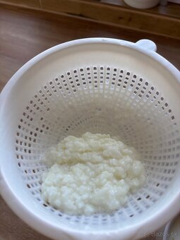 Tibetská huba - Kefír - 2