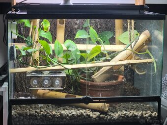reptiplanet 60x45x45 - 2