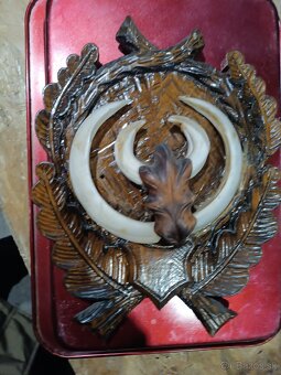 Diviacie kly, Parohy, zhody, trofeje, - 2