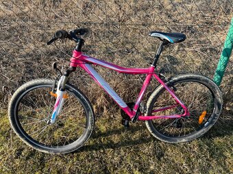 CTM CHARISMA 1.0 - 2