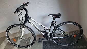 CTM MAXIMA 2.0. - 2