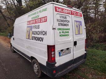 Výrub rizikových stromov, arboristyka - 2