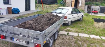 Citroen BX 1.9D - 2