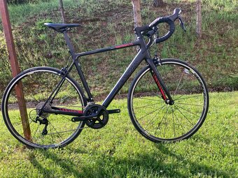 Canyon Endurace - 2