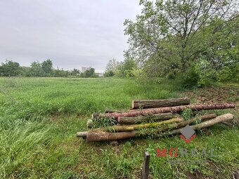 Rekreačný pozemok pri cyklotrase Čechynce - 2