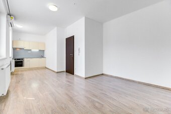 Priestranný 1-izbový byt s klimatizáciou na prenájom - 2