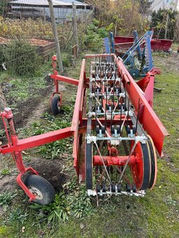 Hrabacka na seno - 2