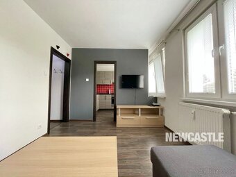 NEWCASTLE⏐PRENAJOM - 1i bauring na ul. Tulská (29m2) + wifi - 2