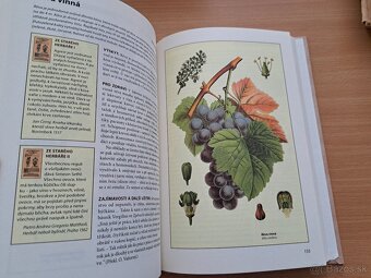 Jaroslava Bednářová: Herbář aneb Stromy a keře - 2