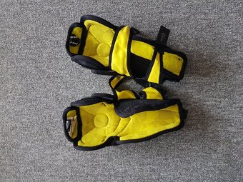 Holene bauer ultrasonic 9 - 2