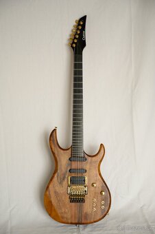 Elektrická gitara - Carvin DC - 20# - 2