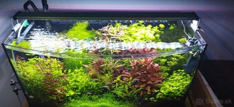 Predám akvárium - 2